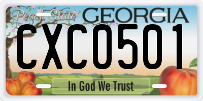 GA license plate CXC0501