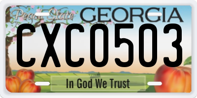GA license plate CXC0503