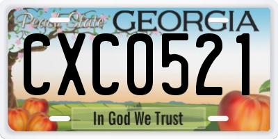 GA license plate CXC0521