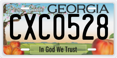 GA license plate CXC0528