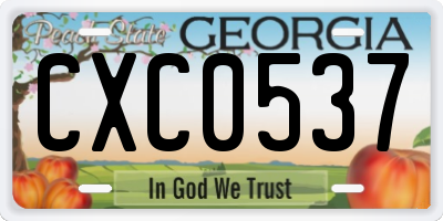GA license plate CXC0537