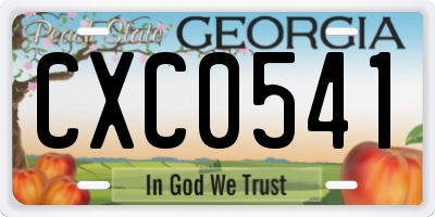 GA license plate CXC0541