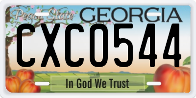 GA license plate CXC0544