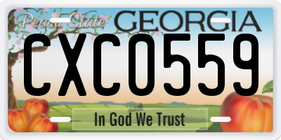 GA license plate CXC0559