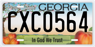 GA license plate CXC0564