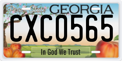 GA license plate CXC0565