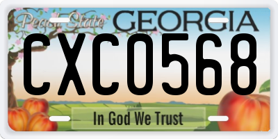 GA license plate CXC0568