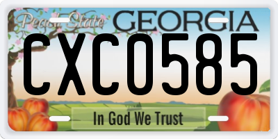 GA license plate CXC0585