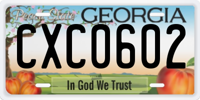 GA license plate CXC0602