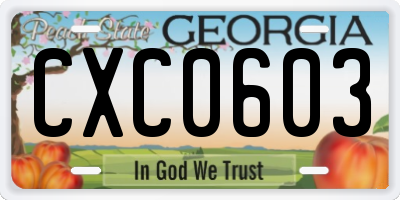 GA license plate CXC0603