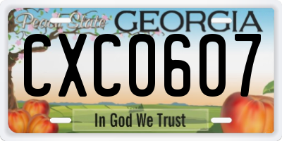 GA license plate CXC0607