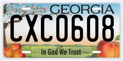 GA license plate CXC0608