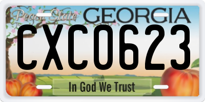 GA license plate CXC0623