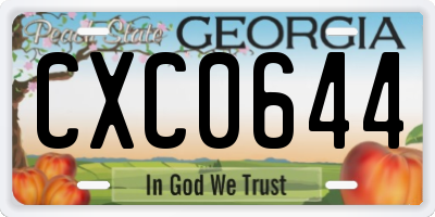 GA license plate CXC0644