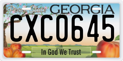 GA license plate CXC0645