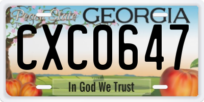 GA license plate CXC0647