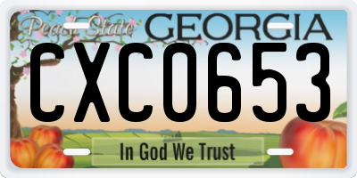 GA license plate CXC0653
