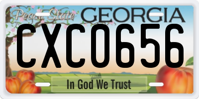 GA license plate CXC0656