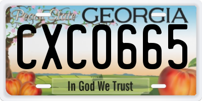 GA license plate CXC0665