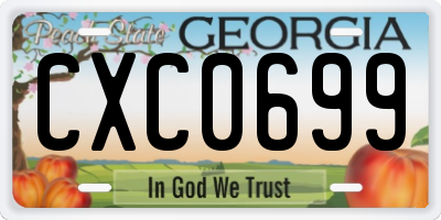 GA license plate CXC0699