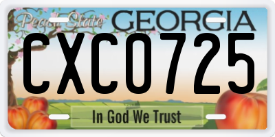 GA license plate CXC0725
