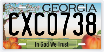 GA license plate CXC0738