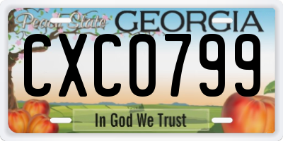 GA license plate CXC0799