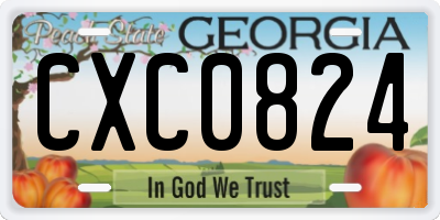 GA license plate CXC0824