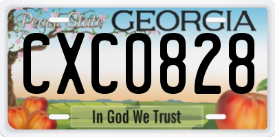 GA license plate CXC0828
