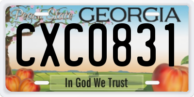 GA license plate CXC0831
