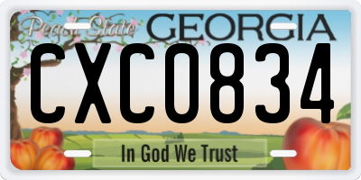 GA license plate CXC0834