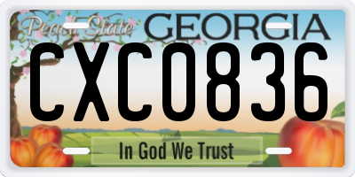 GA license plate CXC0836
