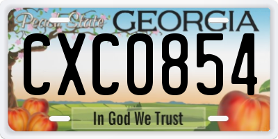 GA license plate CXC0854