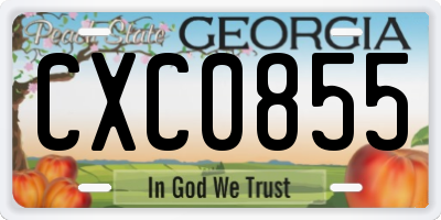 GA license plate CXC0855