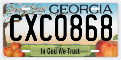 GA license plate CXC0868