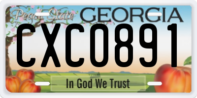 GA license plate CXC0891