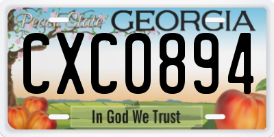 GA license plate CXC0894