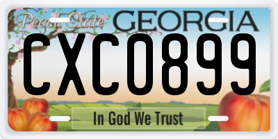 GA license plate CXC0899