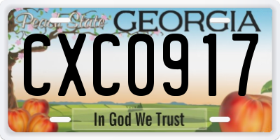 GA license plate CXC0917