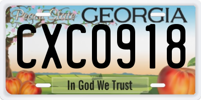 GA license plate CXC0918