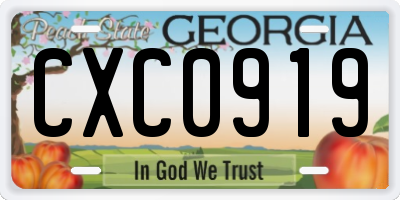 GA license plate CXC0919
