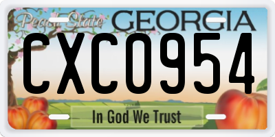 GA license plate CXC0954