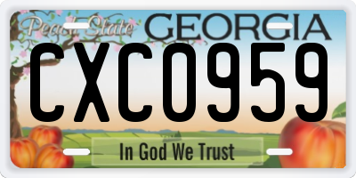GA license plate CXC0959