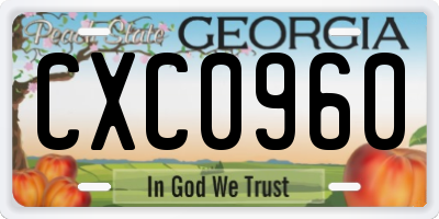 GA license plate CXC0960