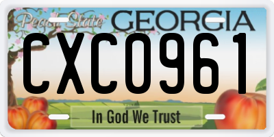 GA license plate CXC0961