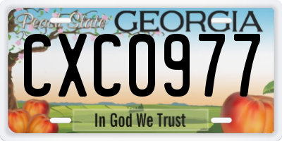 GA license plate CXC0977