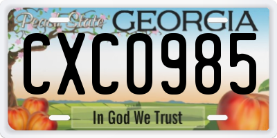 GA license plate CXC0985