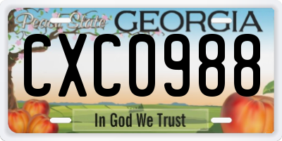 GA license plate CXC0988