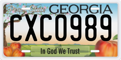 GA license plate CXC0989