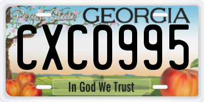 GA license plate CXC0995
